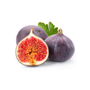 Fig